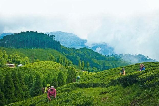 Hotel Central View - Darjeeling ダージリン エクステリア 写真